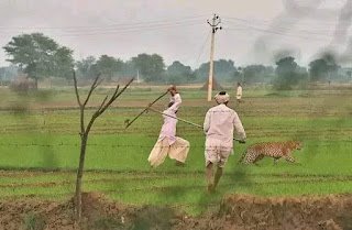 আল্লাহ ধৈর্যশীলদের সাথে