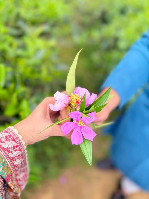 দুটি হৃদয়, একটি সুর